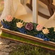 A row of roses beneath the lace curtains