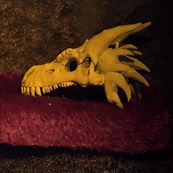The dragon skull within