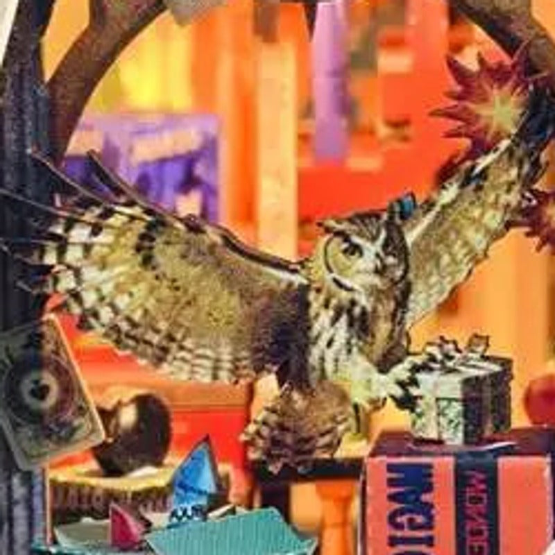 An owl with a window on the magic