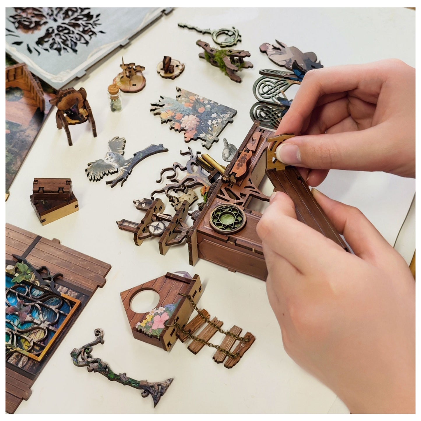 The Records of Insects