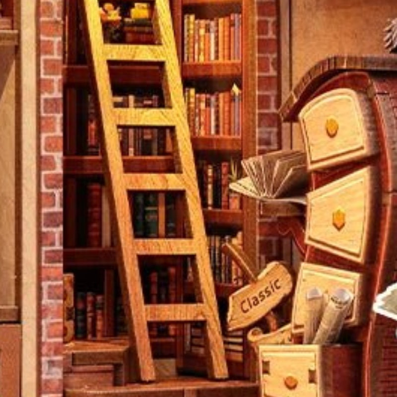 A ladder to the upper shelves