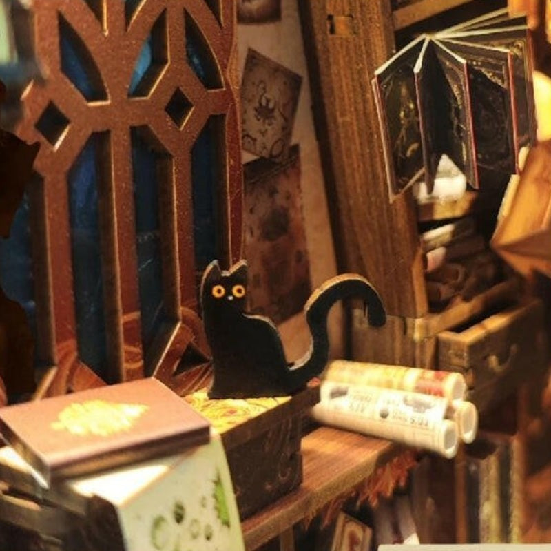 A cat beside the spellbooks