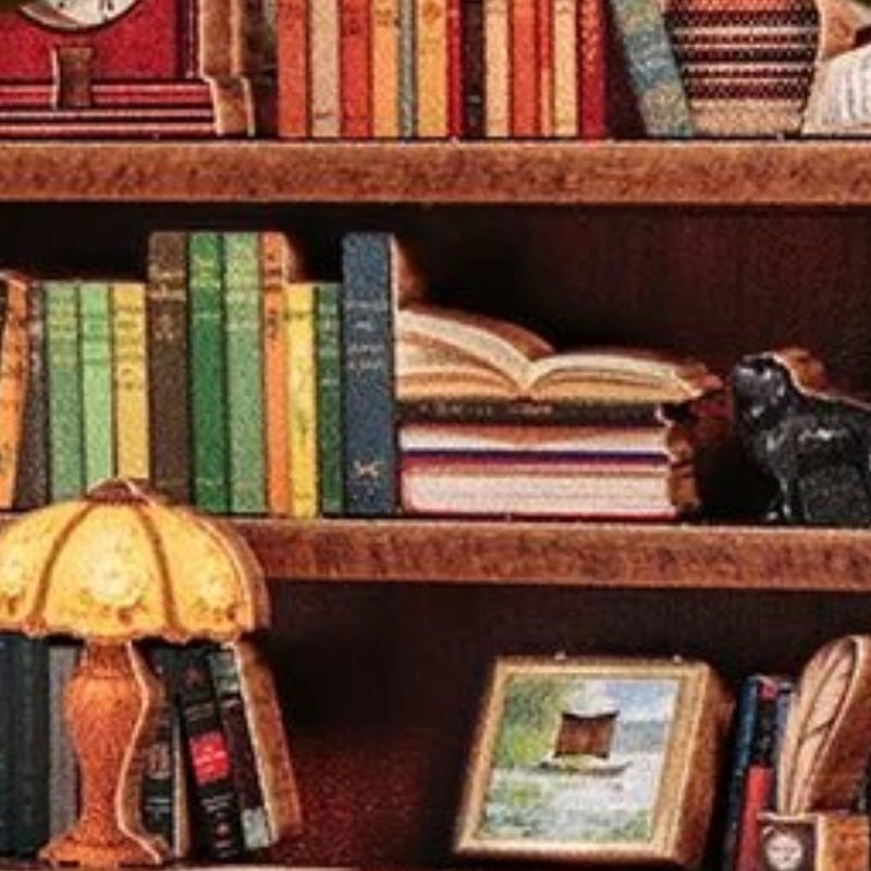 Books beneath a warm lamp