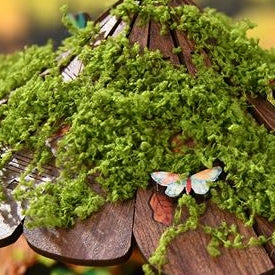 A moss-covered roof, down to the butterfly