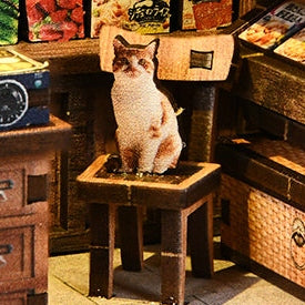 The shop cat has the best seat