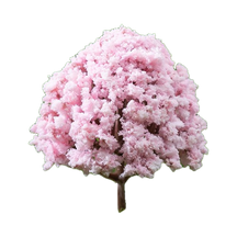 Pink Blossom Tree