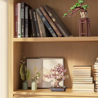 Sakura Bonsai - HiNooki