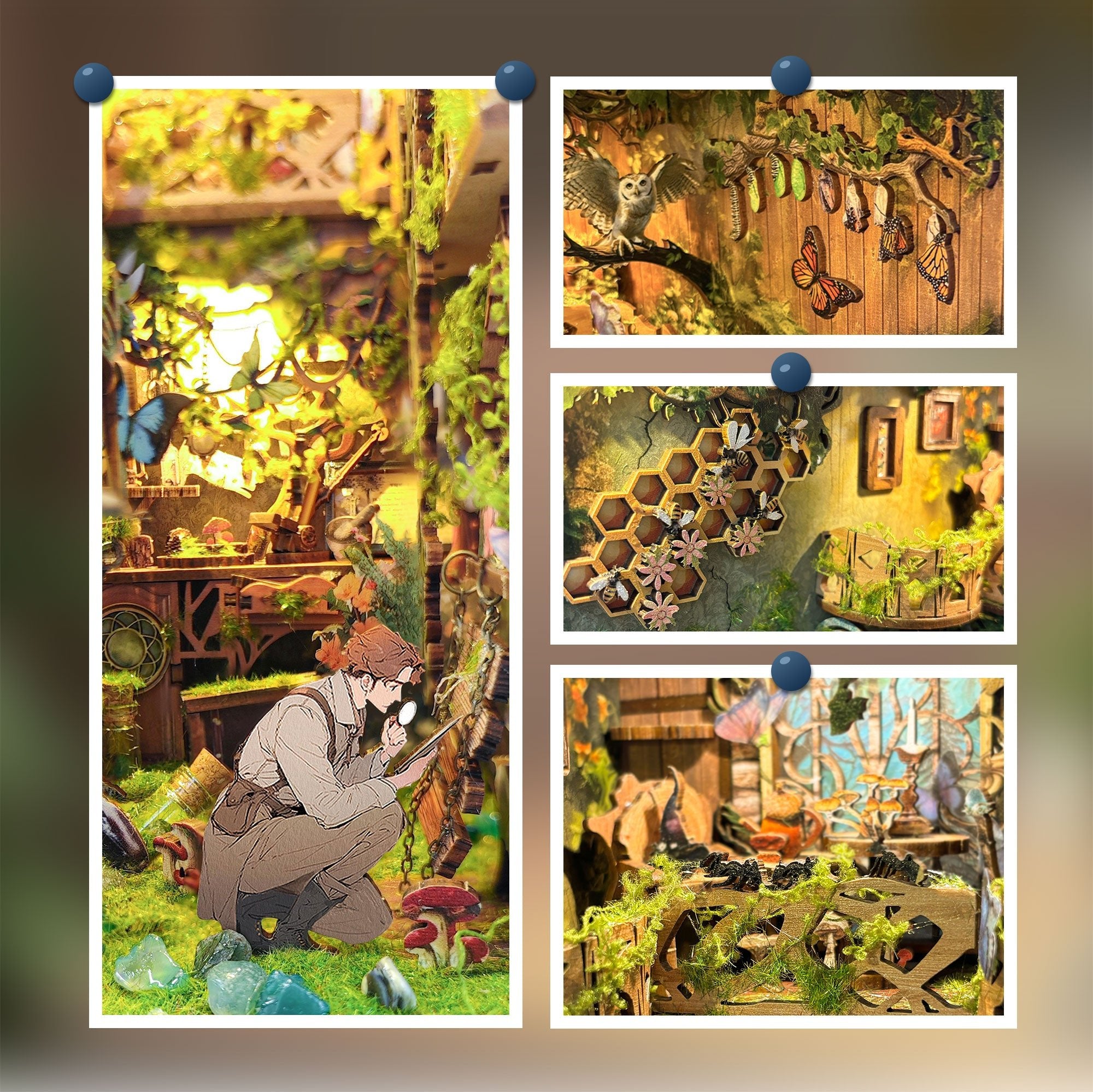 HiNooki - The Records of InsectsBook Nook